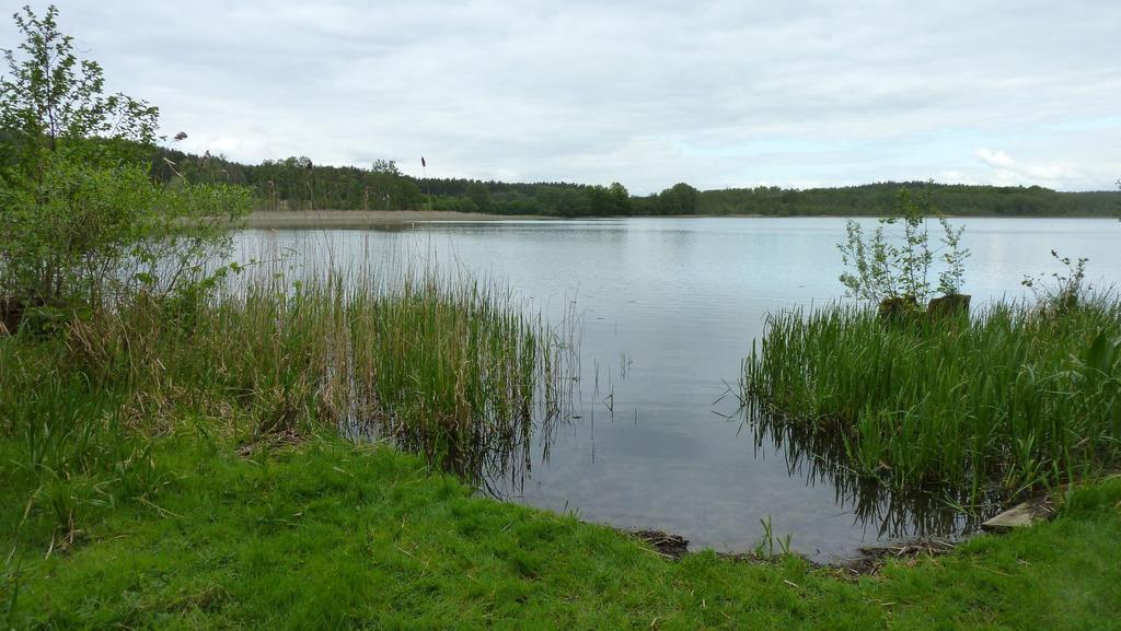 Bungalow Am Kuestrinsee Bei Lychen Luaran gambar