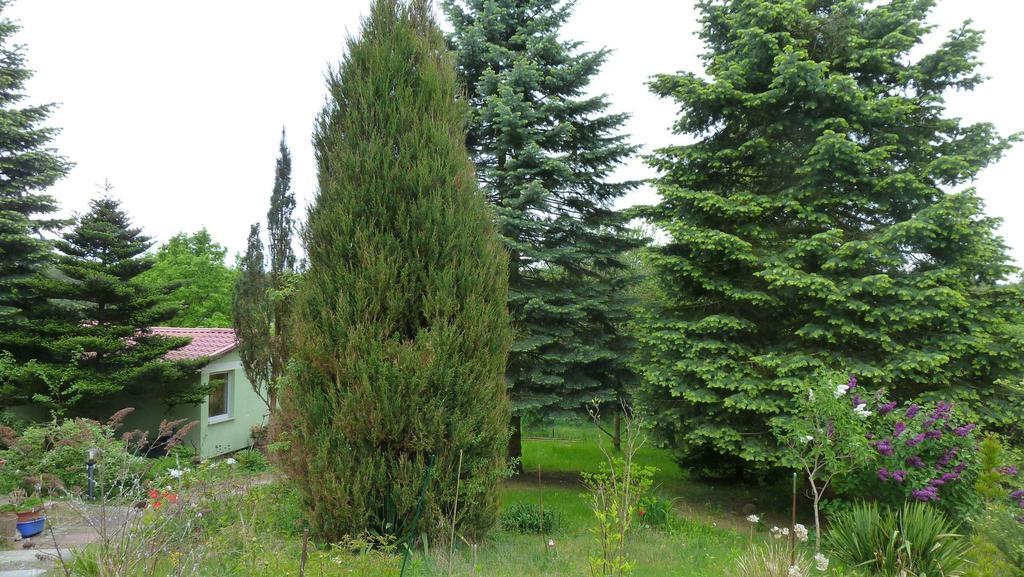 Bungalow Am Kuestrinsee Bei Lychen Luaran gambar