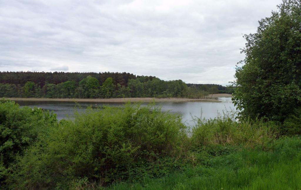 Bungalow Am Kuestrinsee Bei Lychen Luaran gambar